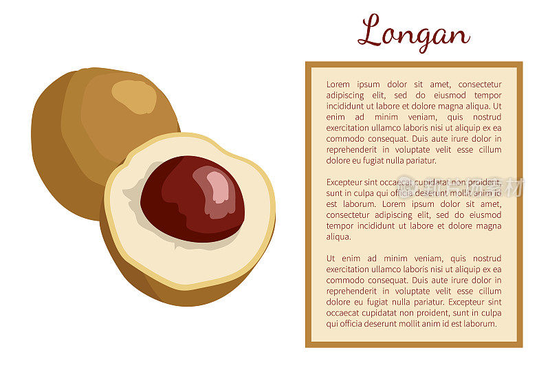 Longan Exotic Juicy Fruit Plant Poster Frame Text